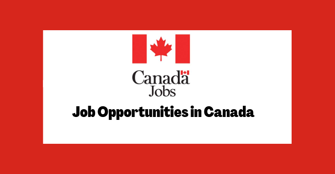 Different Job Opportunities in Canada 2022