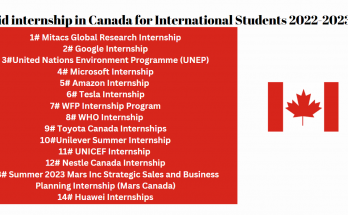 paid internship in canada for international students 2022