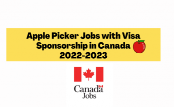 Apple Picker Job with Visa Sponsorship in Canada 2022