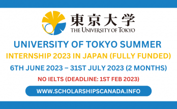 University of Tokyo Summer Internship 2023