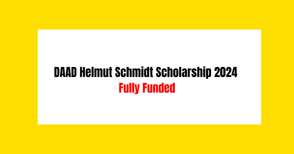 DAAD Helmut Schmidt Scholarship 2024