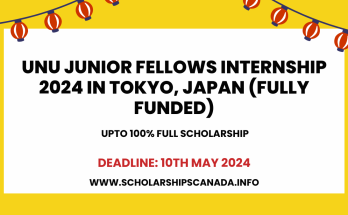 UNU Junior Fellows Internship 2024