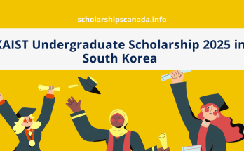KAIST Undergraduate Scholarship 2025